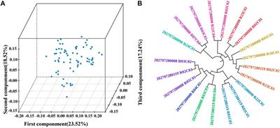 Genetic diversity and population structure of Tongcheng pigs in China using whole-genome SNP chip